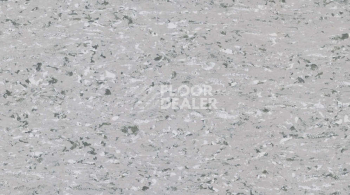 Линолеум Gerflor Mipolam Accord 0319 TOBA фото 1 | FLOORDEALER